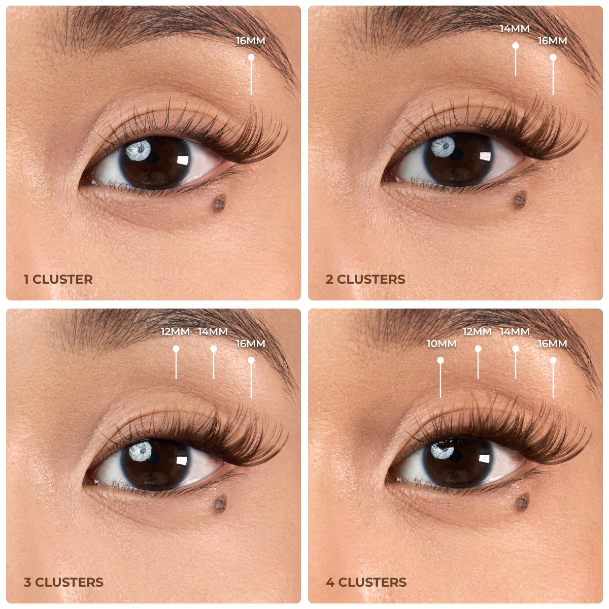 Brown Sultry Clusters Kit