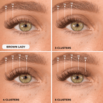 Brown Lady Discovery