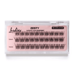 Lash Map Starter